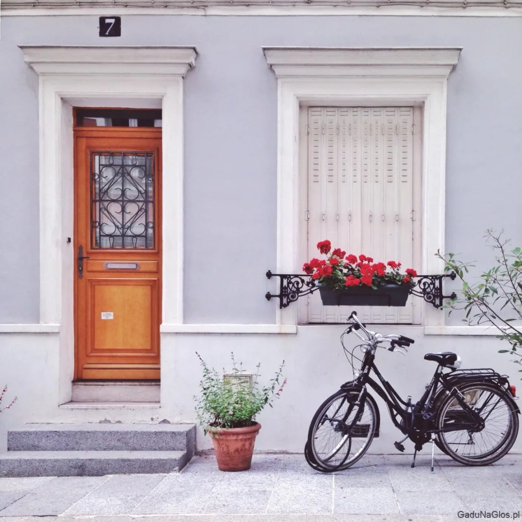 Jakie kwiaty dobrać do wysokich donic na taras?